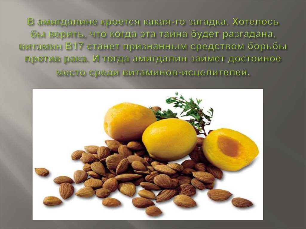 Витамин в17 (b17): в каких продуктах содержится, для чего нужен организму