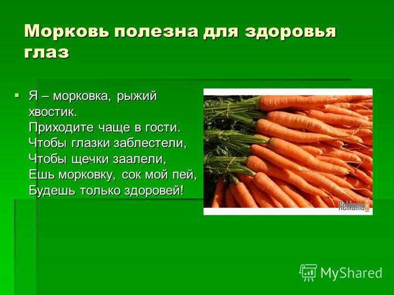 Морковь посевная – ботаническое описание . польза и вред для организма