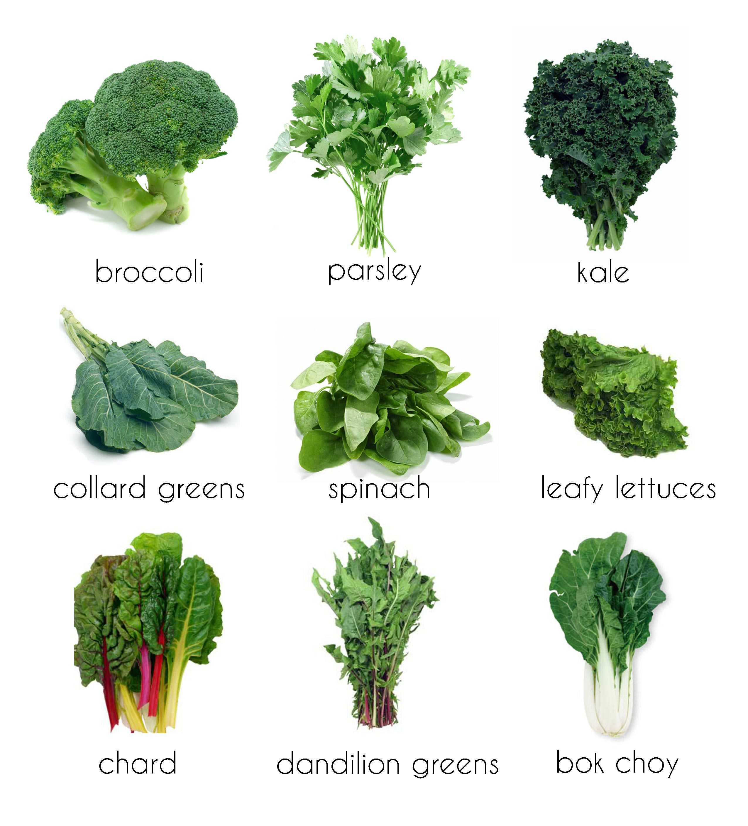 Зеленые листовые овощи. часть 1 - жизнь в движении