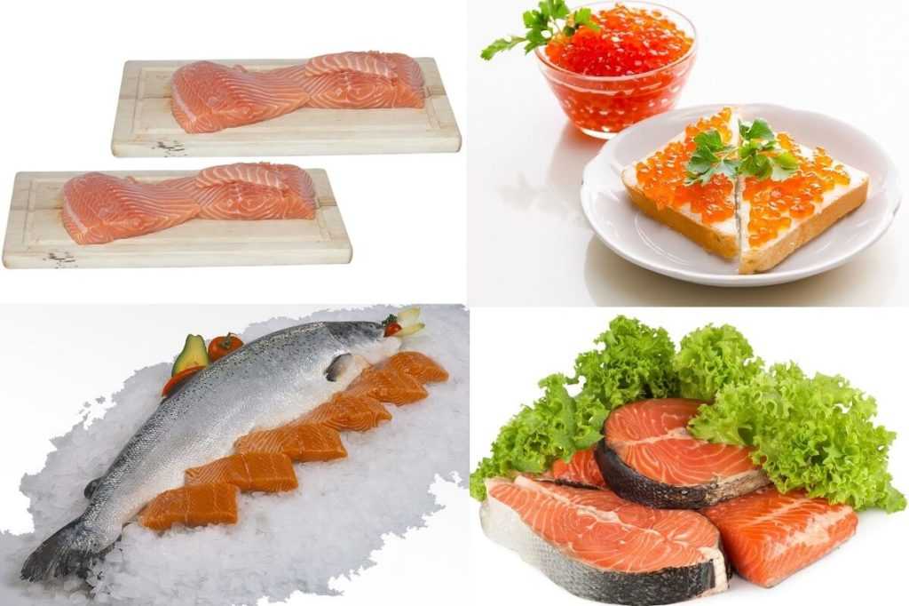 Семга: отличия от лосося, польза и вред, калорийность, состав и приготовление
