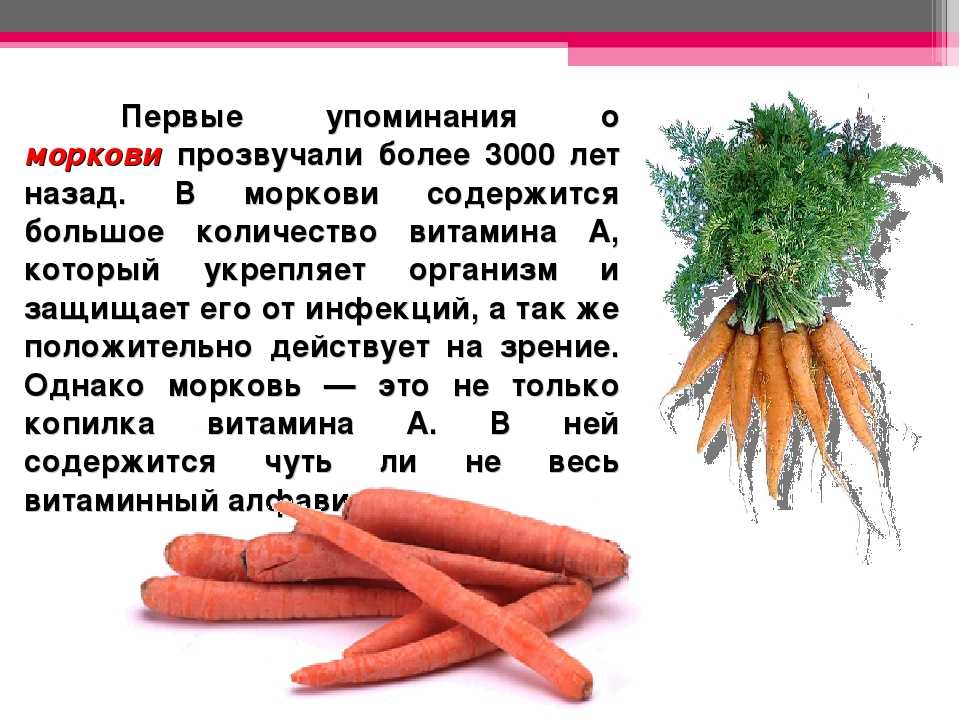 Морковь полезные свойства и противопоказания