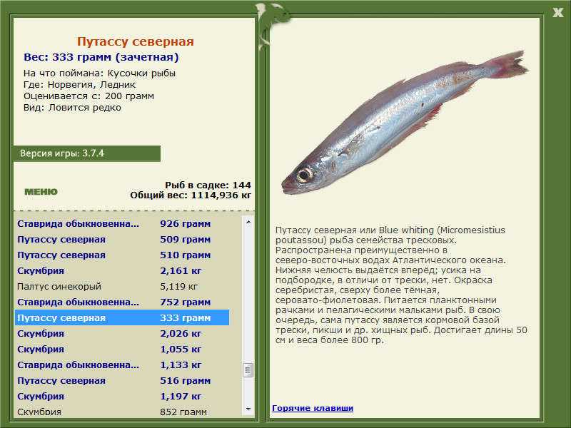 Рыба путассу. калорийность и свойства путассу