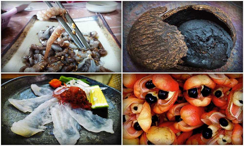 Музей отвратительной еды — «деликатесы» со всего мира