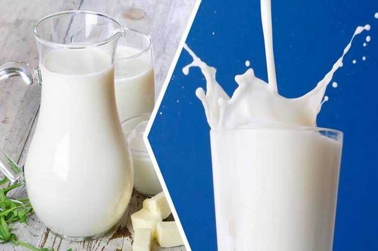 Состав коровьего молока, польза и вред продукта, калорийность