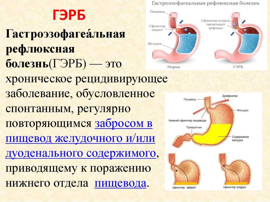 Щитовидная железа и эндокринная хирургия в вопросах и ответах