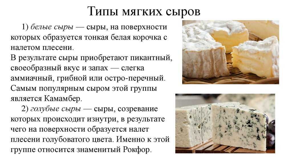 Производство сыра. технологии производства сырного продукта — милтекс