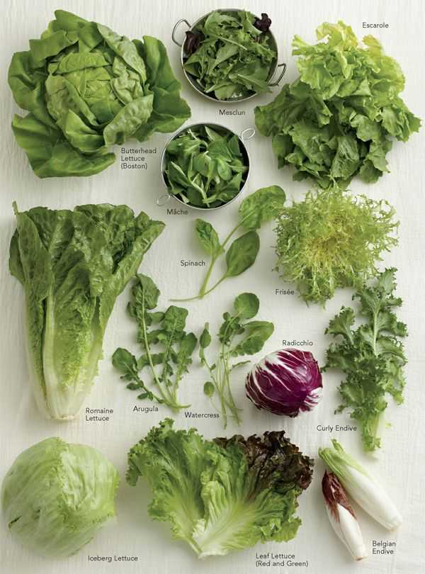 Все по полочкам: какие виды листовых салатов бывают — наш топ-30