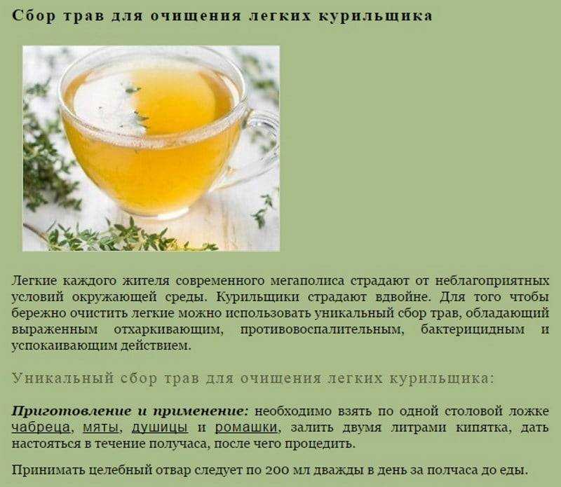 Лук с медом - полезные свойства и противопоказания, как готовить для лечения и повышения иммунитета