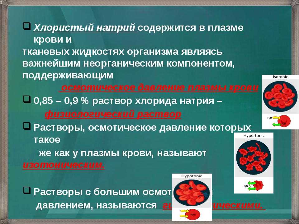 Пищевые добавки в составе продуктов / какие запрещены, а какие допустимы – статья из рубрики "польза или вред" на food.ru
