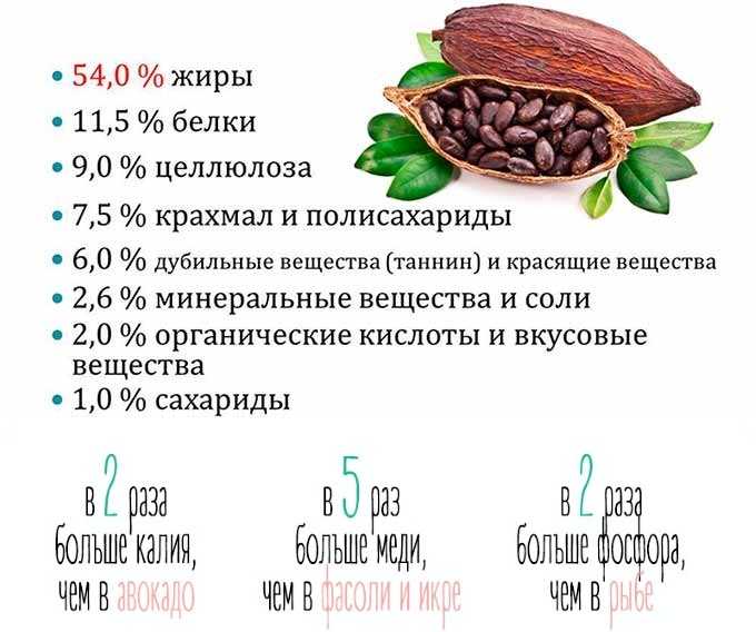 Ботаническое описание и химический состав какао-бобов Полезные свойства и противопоказания Сбор и обработка плодов Кулинарный рецепт приготовления напитка