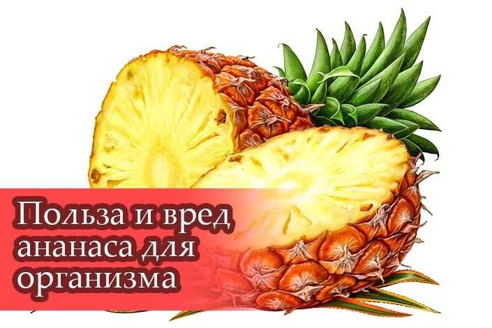 Варенье из ананаса: рецепт, состав, польза | food and health