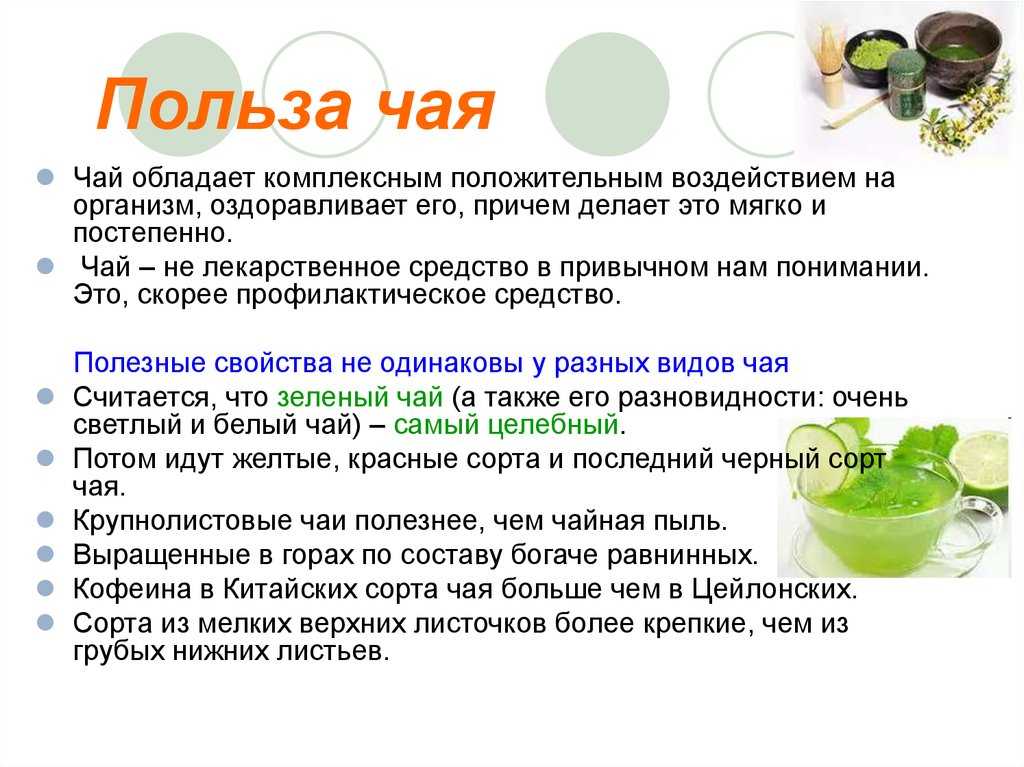 Ежевика: польза и вред для здоровья :: syl.ru