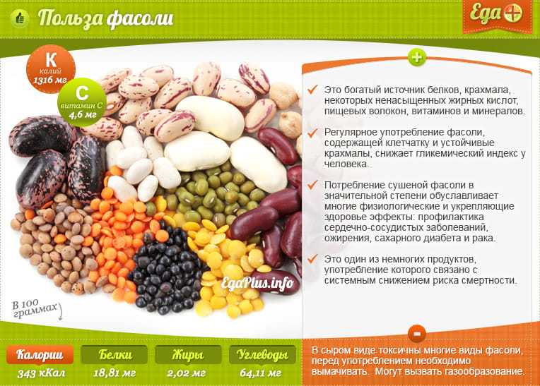 Фасоль - польза и вред для здоровья, калорийность и состав продукта