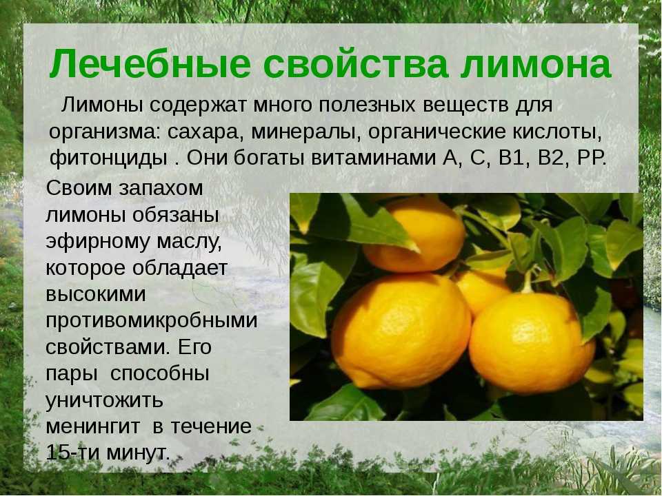 Горячие лимоны польза