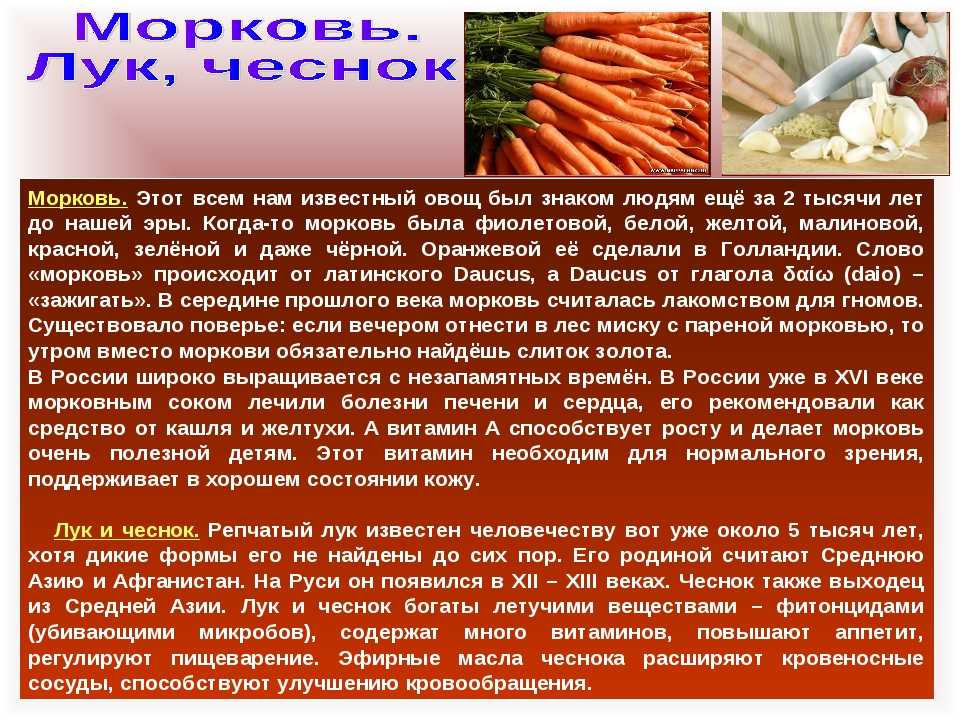 Чем полезна морковь для мужчин и женщин, в каком виде ее лучше употреблять