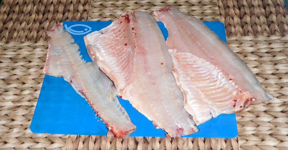 Толстолобик – описание рыбы, польза и вред, как хранить, рецепты приготовления на ydoo.info