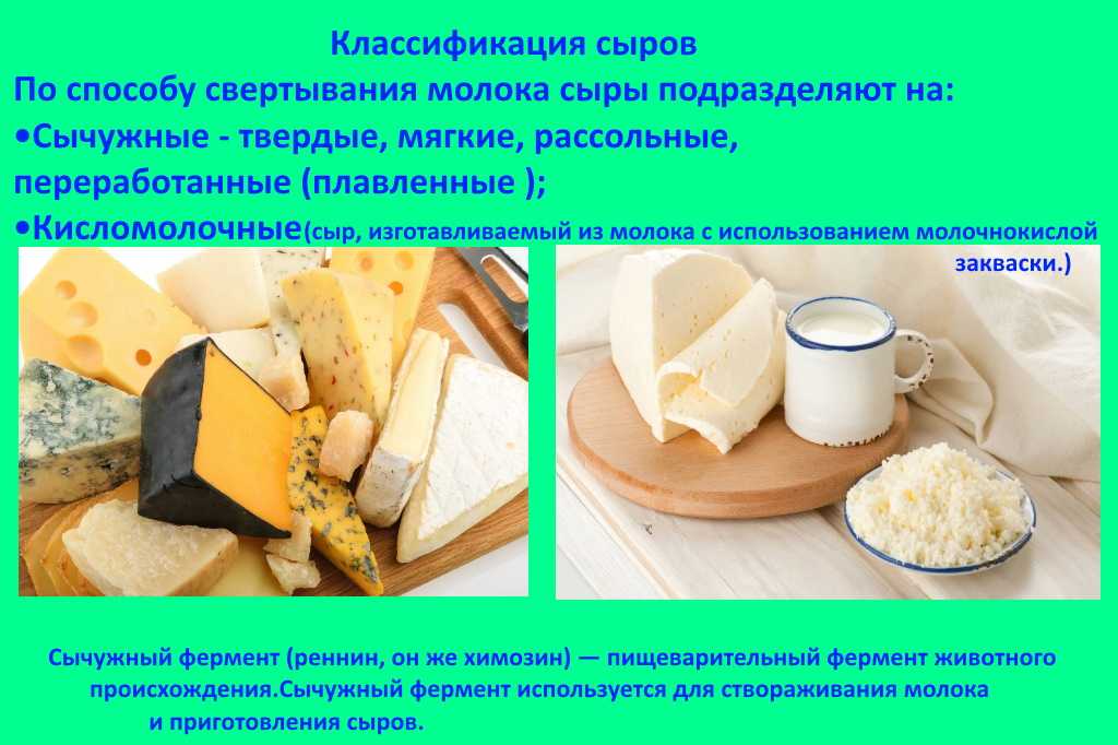 Производство сыра. технологии производства сырного продукта