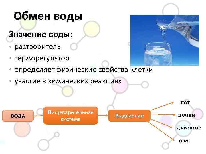Водный обмен в организме схема. Обмен воды и Минеральных солей схема 8 класс. Схема обмена воды в организме 8 класс. Как происходит обмен воды и Минеральных солей в организме человека.