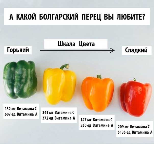 Болгарский перец — польза и вред для здоровья, свойства и противопоказания