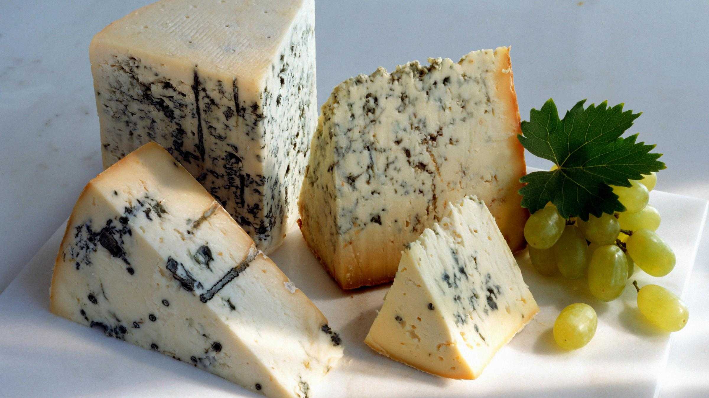 Сыр с плесенью: польза и вред, 10 полезных свойств и противопоказания
