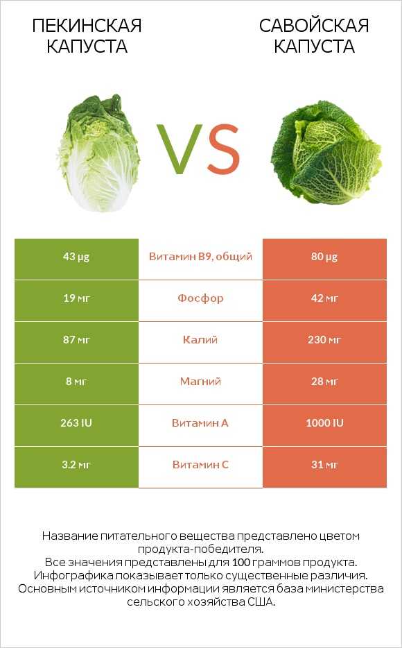 Пекинская капуста — простой салат, а чего в нём больше пользы или вреда? все о полезных свойствах и возможном вреде пекинской капусты