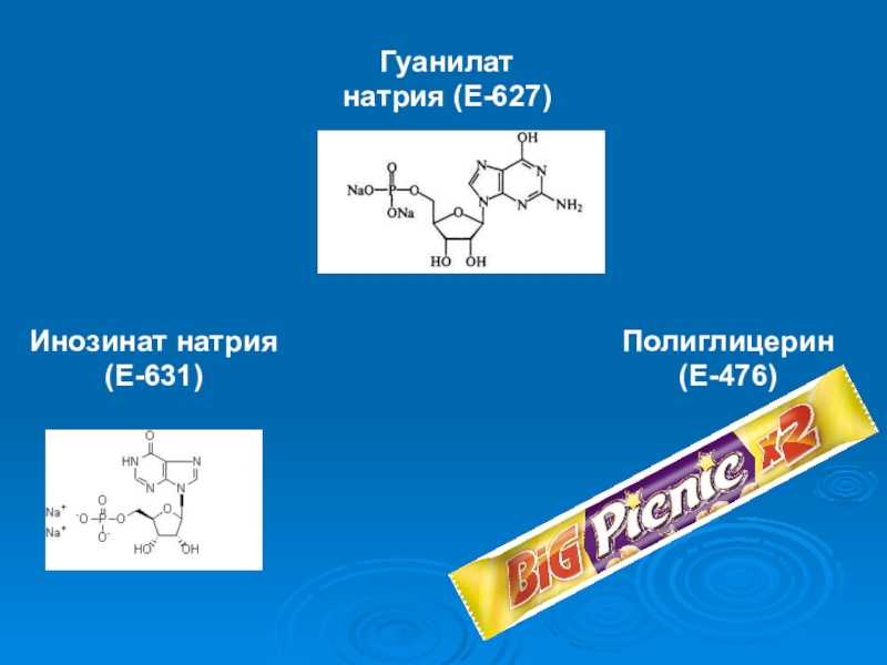 Пищевая добавка е631 (инозинат натрия) — использование и влияние на организм человека