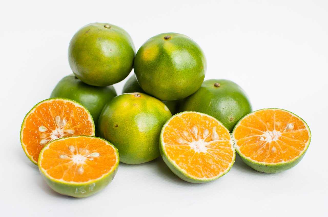 Цитрусовые фрукты: список названий, краткое описание, фото