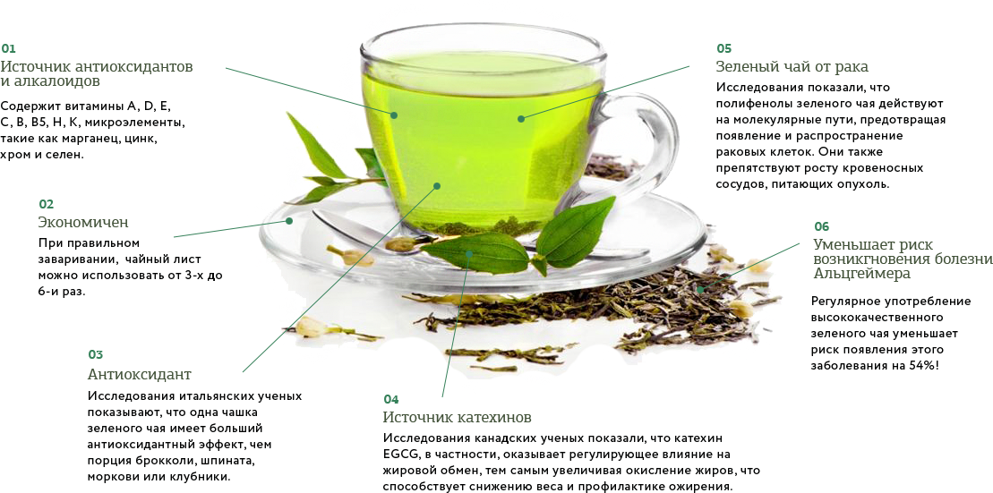Зеленый чай. Лечебный зеленый чай. Зелёный чай польза. Зеленый чай названия. Ромашка чай польза и вред для организма