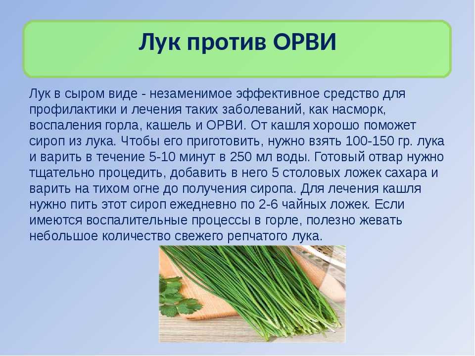 Зеленый лук: состав, калорийность, норма в день, польза и вред