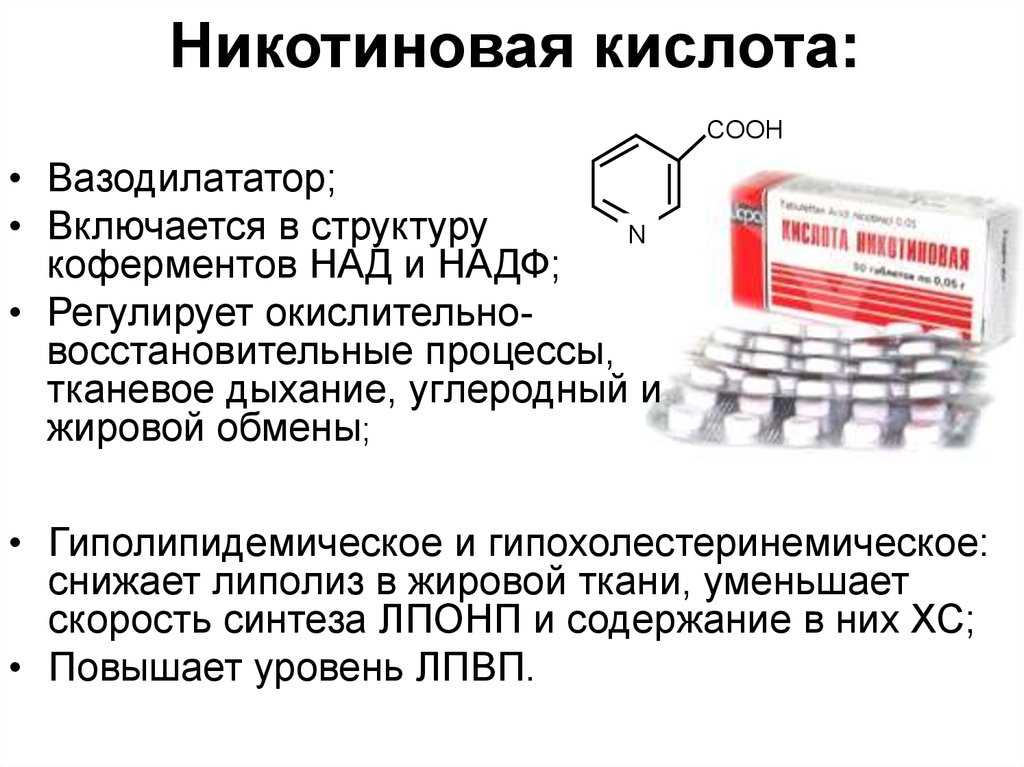 Витамин в15 (пангамовая кислота): для чего нужен организму, в каких продуктах и препаратах содержится
