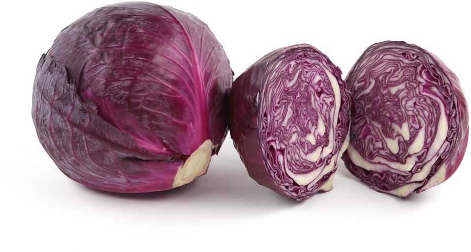 Фиолетовая капуста польза и вред для здоровья