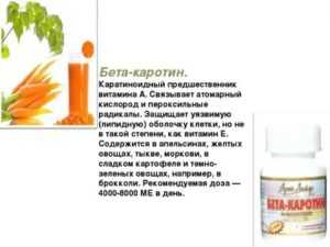 Абрикос: польза и вред. ответы на важные вопросы