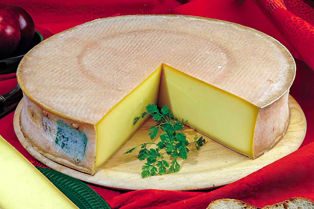 Швейцарский сыр "грюйер": описание, особенности, свойства и интересные факты :: syl.ru