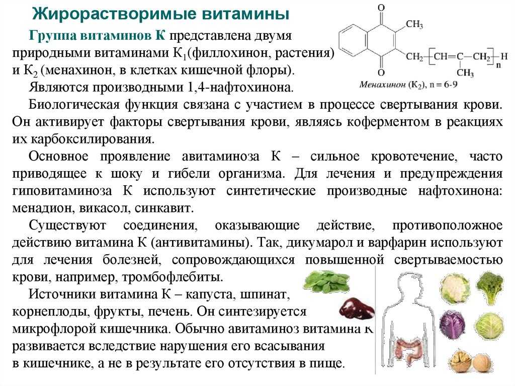 Витамин d: полное описание, свойства и функции. показания и противопоказания к применению. факторы, влияющие на содержание в продуктах витамина к