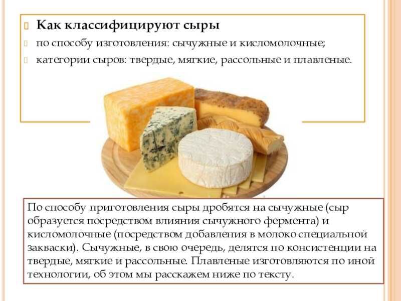 Польза и вред сыра, как приготовить в домашних условиях