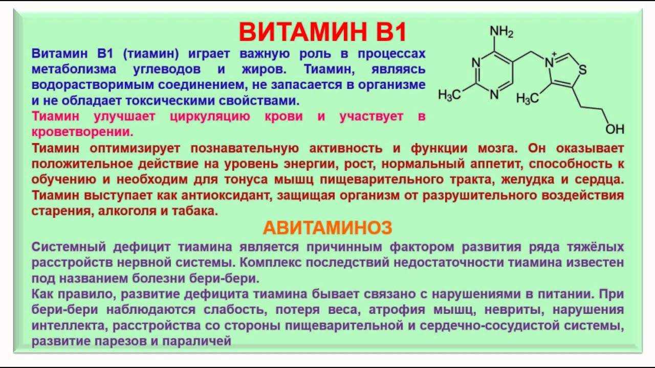Витамин в15 (b15): препараты, для чего нужен организму, пангамовая кислота
