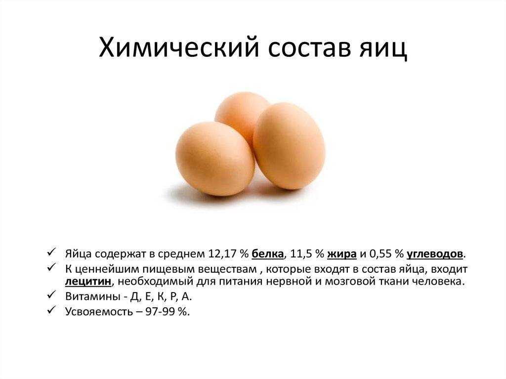Что будет если съесть сырое яйцо. Яйцо куриное. Чем полезны яйца куриные. Что полезного в яйцах куриных. Питательные вещества в курином яйце.