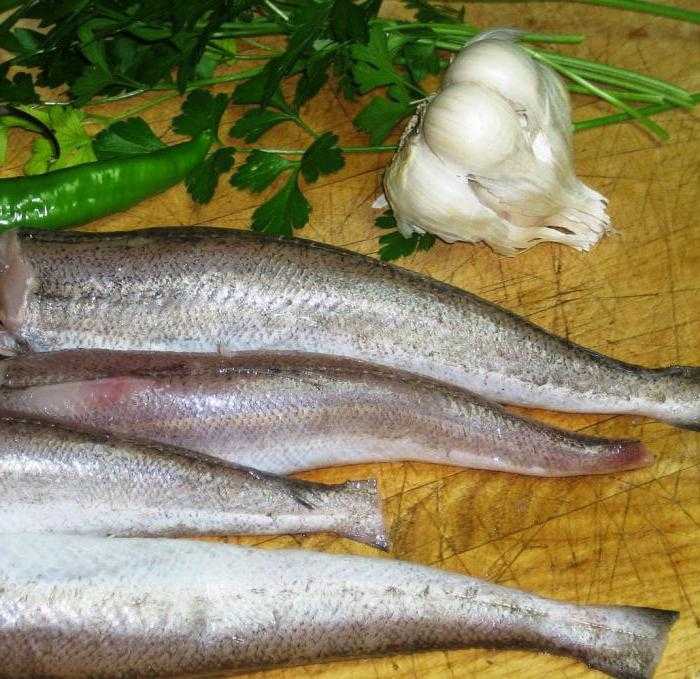 Путассу: состав, калорийность, бжу, польза и вред для организма, рецепты рыбных блюд