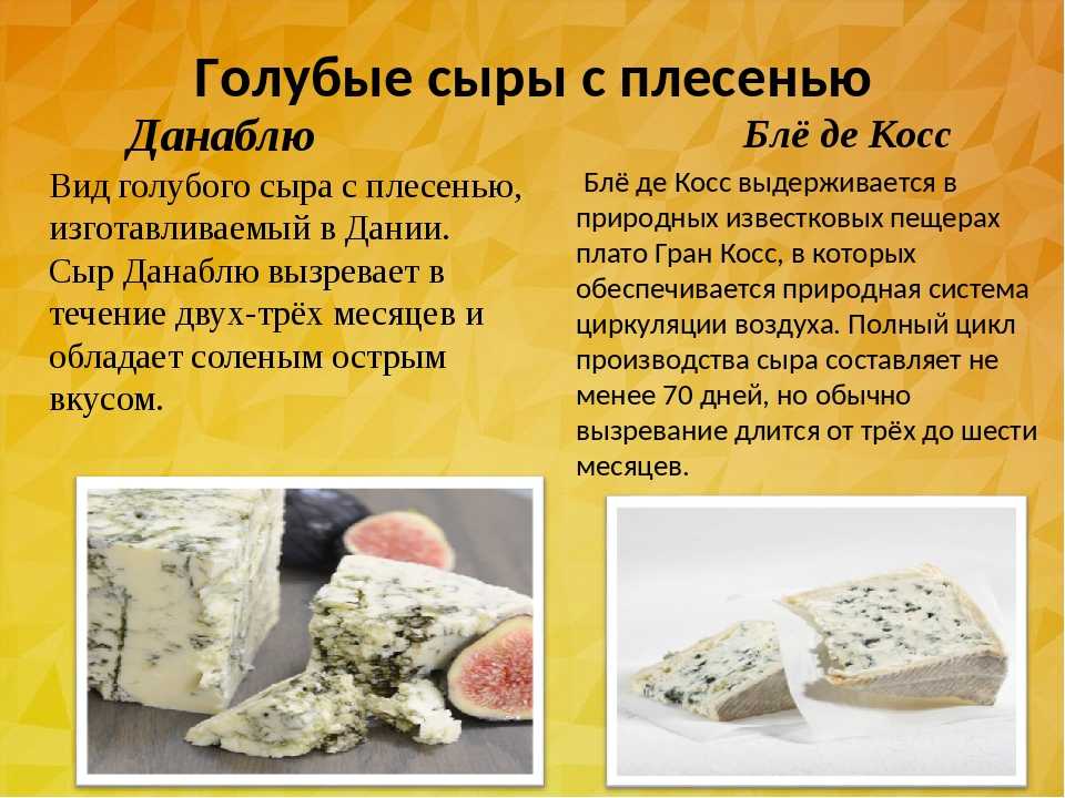 Производство и разновидности голубого сыра с плесенью Калорийность и полезные свойства Рецепт приготовления в домашних условиях Правила выбора и хранения