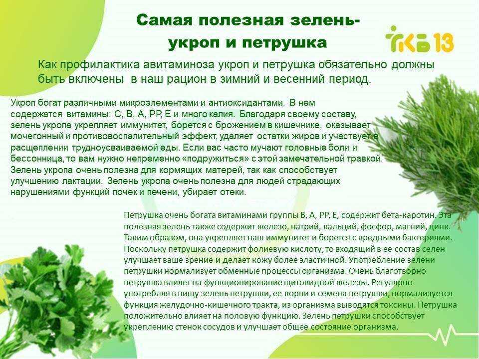 5 полезных свойств петрушки / и возможный вред для организма – статья из рубрики "польза или вред" на food.ru