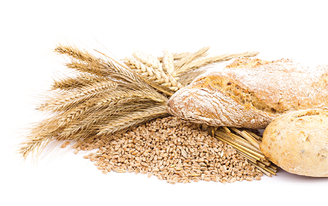 Крупа пшеничная полтавская 2. пшеничная крупа — польза и вред для организма, рецепты приготовления блюд и каши с фото