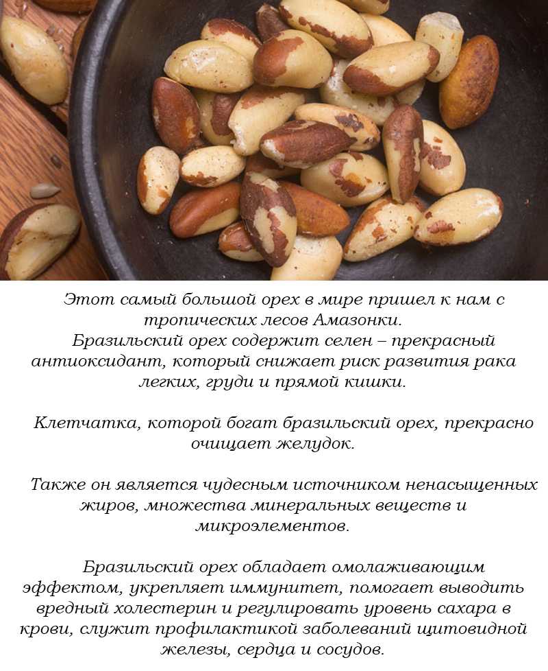 Какие орехи для печени