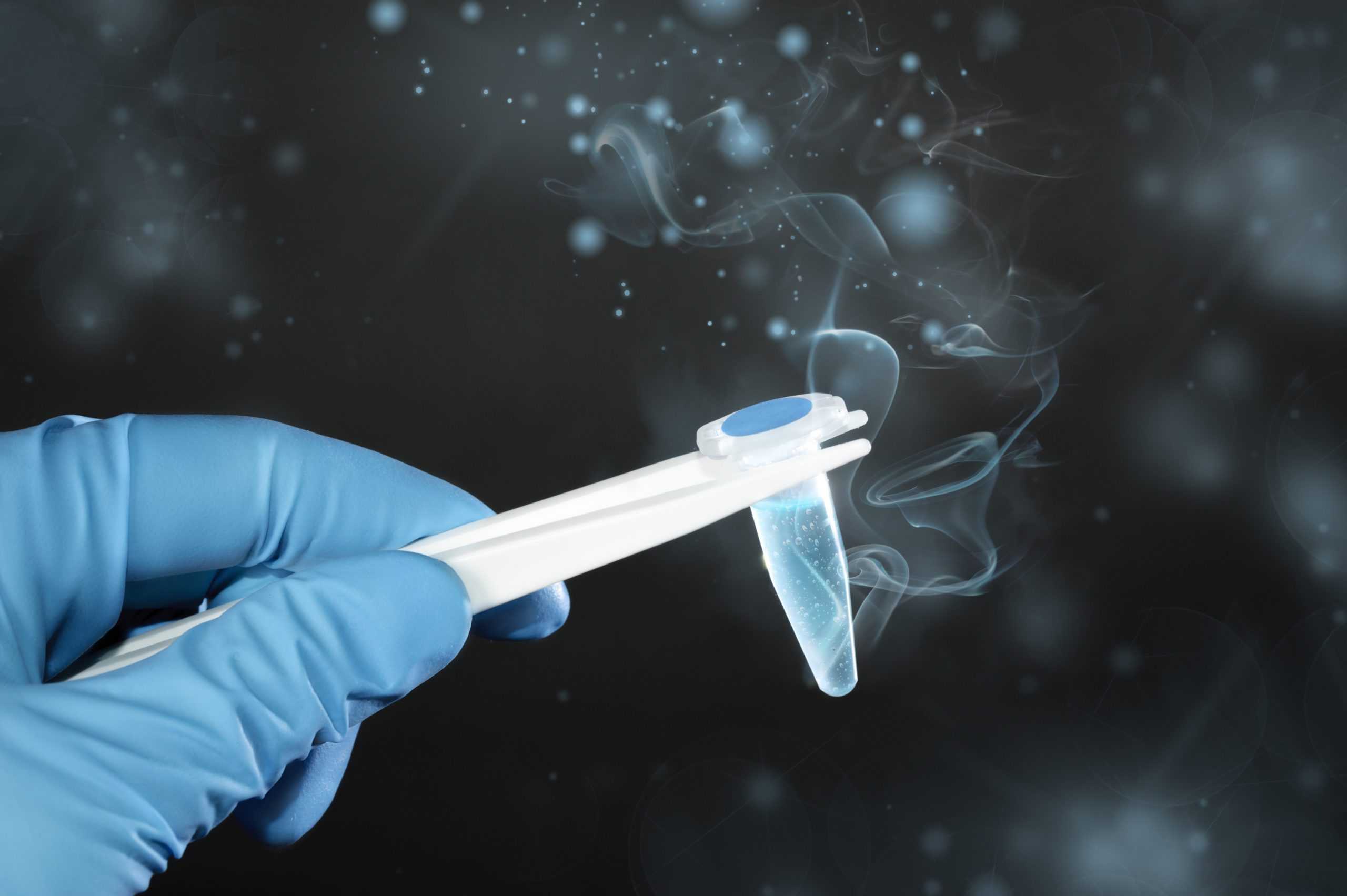 Криоконсервация - методы проведения. криоконсервация яйцеклеток, спермы и эмбрионов