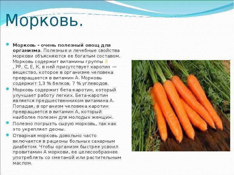 Морковь. полезные свойства. полезные вещества. кому можно. противопоказания. калорийность. как выбрать. хранение. применения.