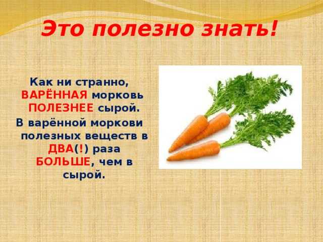 Полезные свойства моркови и вредные для организма человека