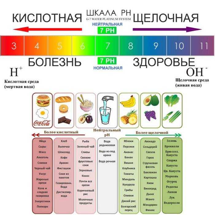 Жирные кислоты: виды, свойства, значение для организма человека, в каких продуктах содержатся :: syl.ru