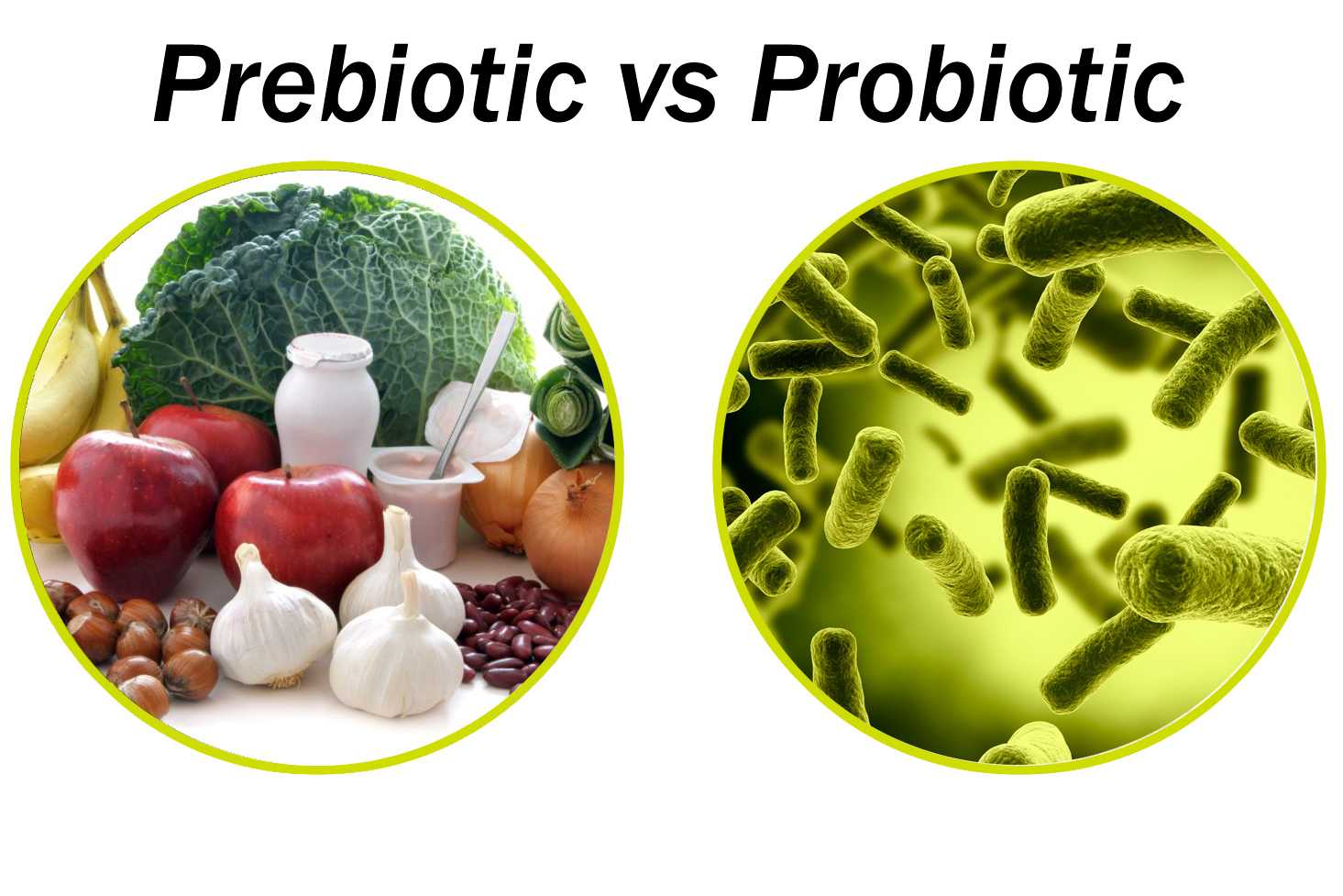 Пробиотики и пребиотики как основа функционального питания