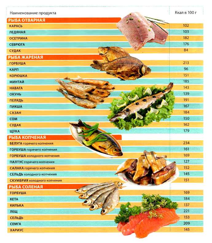 Рыба хек🐟: польза и вред, изучаем полезные свойства для здоровья