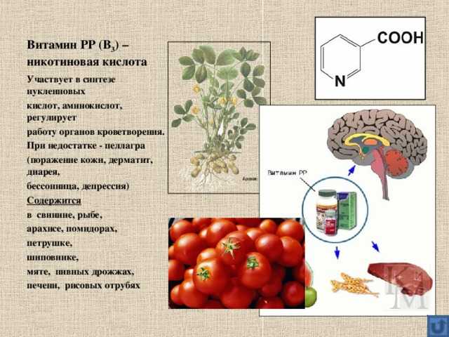 Диагностика анемии — анализы на ферритин, витамин в12, фолиевую кислоту, трансферрин | университетская клиника