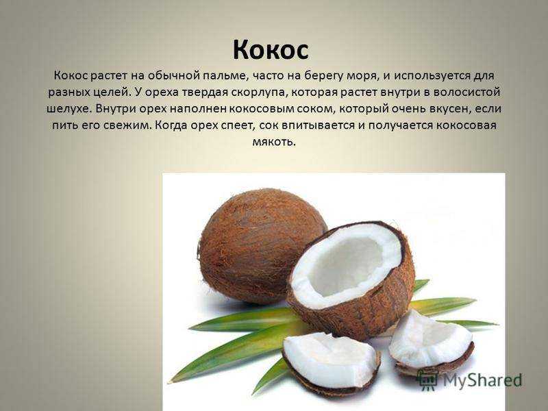 Полезные свойства, выбор и использование кокоса Содержание питательных веществ и калорийность Вред и польза кокосовых продуктов: воды, масла, сливок